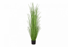 47" Grass Plant With 5" Black Pot - Green