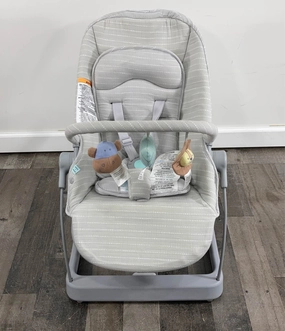 Aden   Anais 3-in-1 Transition Floor Seat