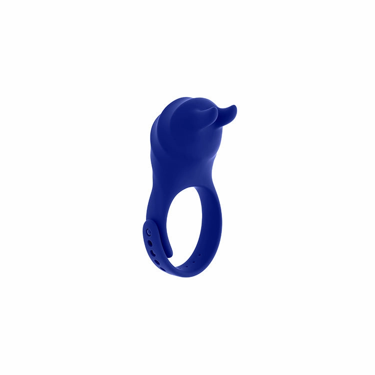 Adjustable Fun Ring Remote Controlled Vibrating Cock Ring