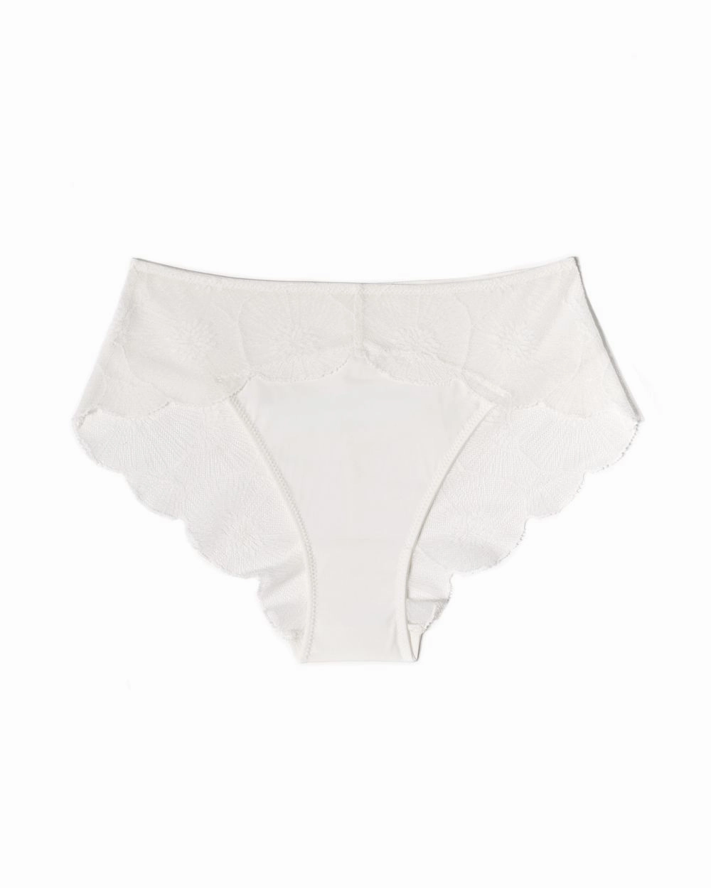 Anemone Brief