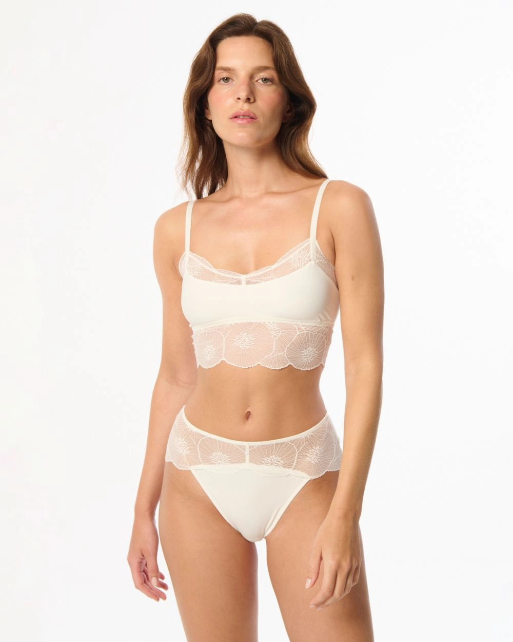Anemone Brief