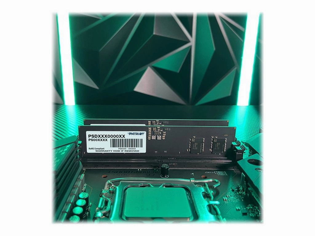 Patriot Signature Line - DDR5 - module - 32 GB - DIMM 288-pin - 5200 MHz / PC5-41600 - CL42 - 1.1 V - unbuffered - on-die ECC PSD532G52002