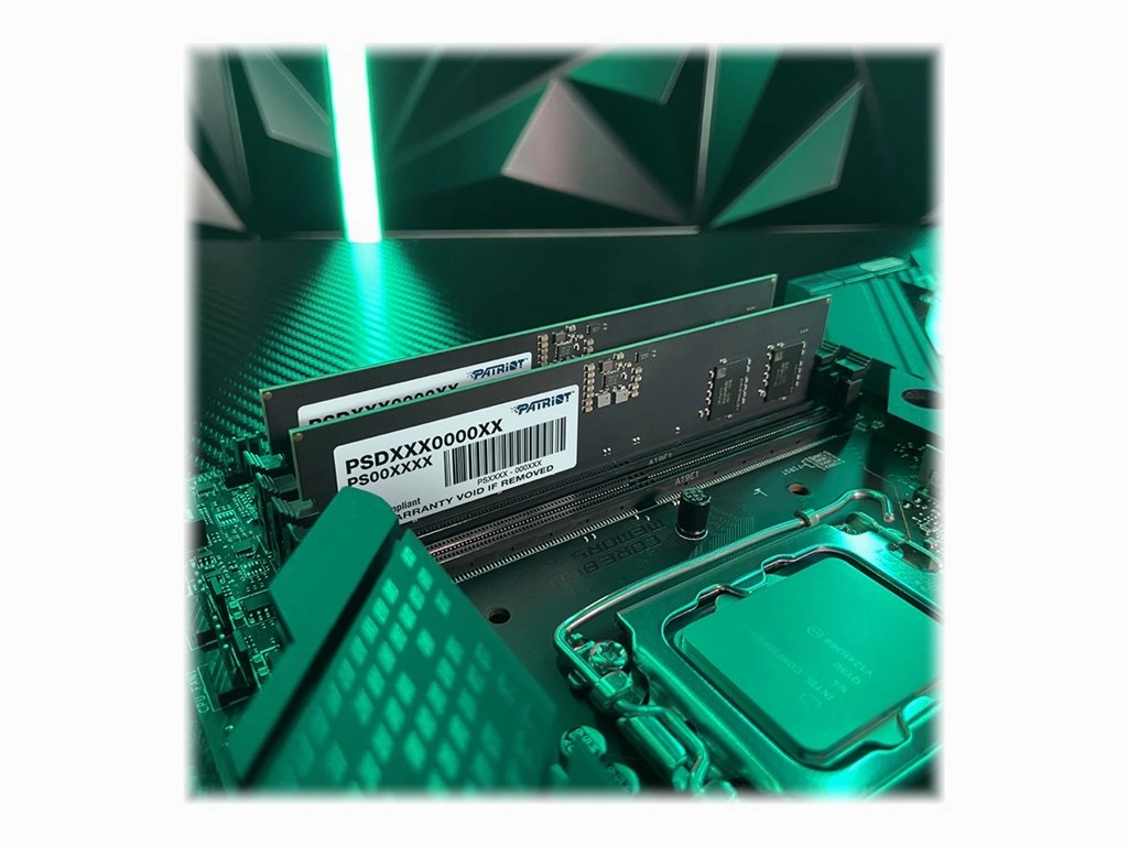 Patriot Signature Line - DDR5 - module - 32 GB - DIMM 288-pin - 5200 MHz / PC5-41600 - CL42 - 1.1 V - unbuffered - on-die ECC PSD532G52002