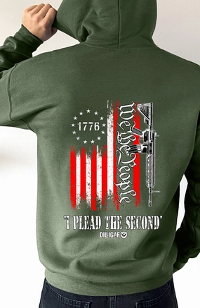 We The People Plead The 2nd Pullover Hoodie