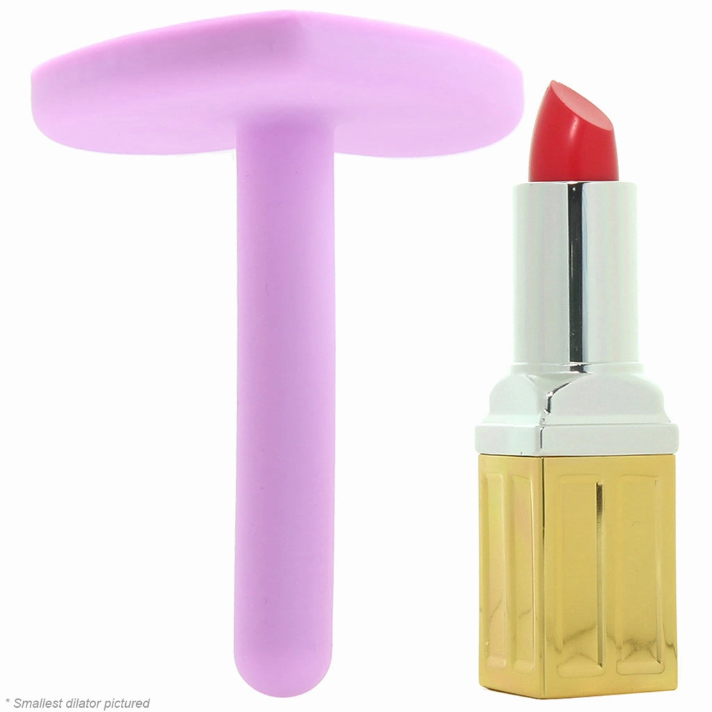 Wellness 4 Piece Silicone Dilator Kit in Purple
