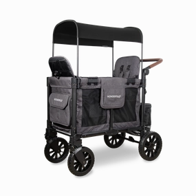 Wonderfold W2 Luxe Pro (2-Seater) Double Seater Stroller Wagon (Charcoal Gray)
